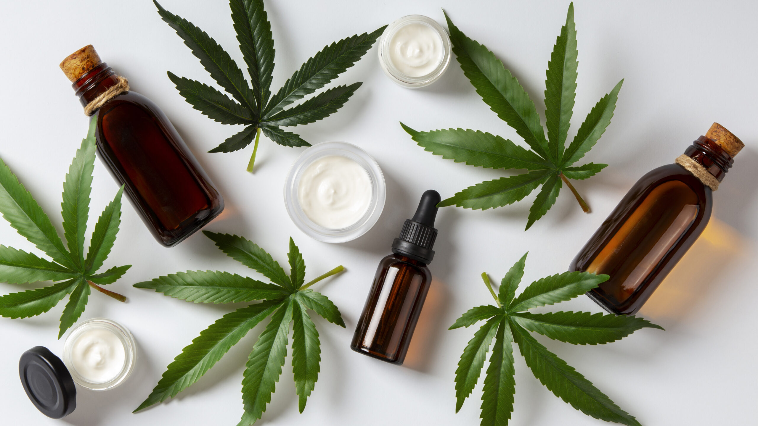 Cannabis medicinal: quando o plano deve custear